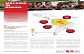 MALARIA IN BRAZIL - assets.publishing.service.gov.uk · tools to defeat malaria in Brazil Defeating malaria will help… Alleviate poverty: Complete cure of relapsing malaria can