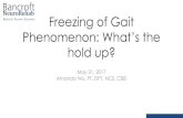 hold up? Phenomenon: What’s the Freezing of Gait€¦ · symptoms) (Plotnik et al) •Coincides with greater cognitive decline. Impact of FOG ... •Early occurrence associated