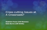 Cross-cutting Issues at A Crossroads?...Cross-cutting Issues History and Context Towards ‘people-centered’ approach and action Challenges Ramifications – positive and negative