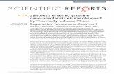 Synthesis of semicrystalline nanocapsular structures obtained by … · 2019. 5. 3. · CITIIC REPORTS 32727 DI 10.103srep32727 1 Synthesis of semicrystalline nanocapsular structures