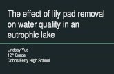 The effect of lily pad removal on water quality in an ...€¦ · • Lily pads do have an effect on water quality • Decomposing lily pads take up a lot of oxygen, which is required