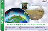 Human Impact on the Environment - todhigh.comtodhigh.com/.../03/Human_Impact_on_the_Environment.pdf · Human activity produces two main types of air pollutant: particulates –These