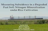 Measuring Subsidence in a Degraded Peat Soil: Nitrogen ... · Peat Soil: Nitrogen Mineralization under Rice Cultivation Emilie Kirk Bruce Linquist Chris van Kessel University of California,