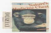 Primate Research Institute...1991/03/30  · studies show that this compound or some other Aspilia ingredient can improve animal health. In a more recent field study, Wrangham observed