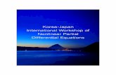 Korea-Japan International Workshop of Nonlinear Partial ... · 「Asymptotic proﬁle of solutions for the damped wave equation ... complex Ginzburg-Landau equation II. Contraction
