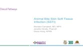 Clinical Pathways Animal Bite Skin Soft Tissue Infection (SSTI)...2019/10/29  · 1 Tetanus Vaccine and Immunoglobulin Considerations If the patient has completed primary Tetanus series,