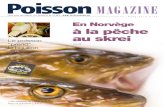 Le poisson au skrei - nogarlicnoonions.com · 6 Poisson magazine 90 Poisson 7magazine 90 P des inos, ... oisson éclaircie dans l’hiver polaire. ar tous les temps ou p presque,