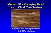Module 10 - Managing Head Lice in Child Care SettingsModule 10 - Managing Head Lice in Child Care Settings Integrated Pest Management for Child Care Settings 1 What are head lice?