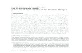 Andrea Schlosser & Pankaj Tandon1 The Channapatna plates ...people.bu.edu/ptandon/Channapatna-Plates.pdfStudien zur Indologie und Iranistik 26 (2009) 219–247 Andrea Schlosser & Pankaj