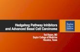Hedgehog Pathway Inhibitors and Advanced Basal Cell Carcinoma5964adcf6c97e3ebad92-2d059e2ef73e5cbb778fc7d34841d99d.r25.… · Hedgehog Pathway inhibitors: Active AGENT / COMPANY STATUS