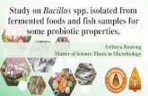 Study on Bacillus spp. isolated from fermented foods and fish … · 2020. 3. 23. · DPPH free radical scavenging ability (Jin et al., 2012;Ding et al., 2017 ) 0.2 mM DPPH solution,