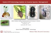 Eastern NY Entomology Update on Invasive Species Management · • The Spotted Lanternfly, Lycorma delicatula (White), is a planthopper orinating from China, Korea, India, Vietnam,