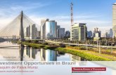 November, 2016 Investment Opportunies in Brazil · 2016. 12. 1. · Intends to attract local and international investors to acquire state-owned companies and to develop major infrastructure