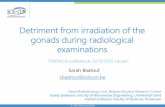 Detriment from irradiation of the gonads during radiological … · 2020. 4. 14. · Risk: failure to implant or undetectable death of the conceptus (the “all -or-none” rule).