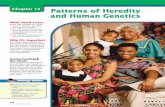 Chapter 12: Patterns of Heredity and Human Genetics · in MiniLab 12.1. Analyzing a pedigree An example of a pedigree for a fic-titious rare, recessive disorder in humans is shown