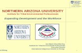 Sustainable Energy Solutions NORTHERN ARIZONA UNIVERSITY · Wind Finders, TecVerde, SWWP. Project Implementation Native American business planning Shonto, AZ Chapter. 5. NAU Curriculum