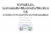 CCEELLLL RREESSPPIIRRAATTIIOONN · 2014. 5. 5. · EXPLAIN oxidative phosphorylation in terms of chemiosmosis. 6. EXPLAIN the relationship between the structure of the mitochondrion