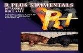 R PLUS SMMENTALS Plus 2016_web...R Simmental sale WELCOME TO OUR 2016 EDITION OF THE ANNUAL R PLUS BULL SALE Once again it is an honor to welcome you to our 16th Annual R Plus Brand