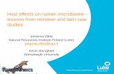 Host effects on rumen microbiome lessons from reindeer and ... · © Natural Resources Institute Finland 620 640 660 680 700 720 740 760 780 Before After Before After Cow Reindeer