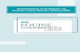 Recommendations for the Diagnosis and Treatment of Equine ......GROUP Table 1 – Questions and answers about hyperinsulinemia-associated laminitis Laminitis is the outcome that poses