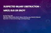 Suspected biliary obstructioneushk.org/wd/ni/20170908-140500_1_the_role_of_eus_in_suspected_… · Coban G, Am J Med Sci 2013 Sensitivity Specificity Accuracy Normal weight 85.2%