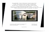 Katahdin Hair Sheep International 12th Annual Expo Sale ......2016/07/29  · Mail & Phone Bids 2016 Transportation Opportunities Individuals wishing to bid by phone can contact Steve
