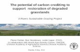The potential of carbon crediting to support restoration of … · 2012. 5. 14. · –deliver carbon credits to the voluntary market –improve water and biodiversity resources through