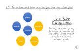 The Five Kingdoms...The Five Kingdoms Kingdoms plants monera fungi protista animals Today, we are going to look, in detail, at the other three major kingdoms in our natural world.