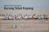 Habitat dan Keanekaragaman Burung Teluk Kupang · 2020. 8. 5. · Australasian Flyway (Bamford et. al. 2008) Populasi Terik australia mencapai 1 % kriteria (jumlah pasti tidak diketahui)