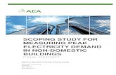 SCOPING STUDY FOR MEASURING PEAK ELECTRICITY …...project specification. We include equipment specifications, an estimate of budget, and a proposed initial timetable estimate. During