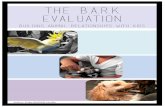 THE B.A.R.K EVALUATION Building Animal Relationships with …and begin in early childhood _3, p.5 D. Developmental Trauma Domestic/ Family Violence is broadly defined here as behaviour
