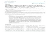 Research Paper MicroRNA-449a Inhibits Tumor Metastasis ...peroxidase (HRP) polymer anti-mouse IHC diaminobenzidine (DAB)-based kit (MaxVision, Fuzhou, China) according to the manufacturer’s
