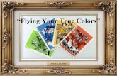 “Flying Your True Colors”...Personality Style Communication Style Tool to better understand: •Yourself •Other around you •How to work with those different than you ...