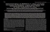 Administration of BMP2/7 in utero partially reverses ...dm5migu4zj3pb.cloudfront.net/manuscripts/59000/59466/JCI59466.v3.pdfRubinstein-Taybi syndrome (RTS); however, the mechanism