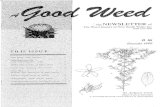 December 1998 Good Weed Vol 16.pdfi the NEWSLETTER ofThe Weed Society of New South Wales Inc ISSN 1325-3689 #/6 December 1998 St John’s wort Hypericum perforatum A. Flowering branch