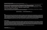 Akveren Formasyonu’nun Kampaniyen-Maastrihtiyen ...2004/03/30  · Akveren Formasyonu’nun Kampaniyen-Maastrihtiyen planktonik foraminifer biyostratigrafisi (Bartın, Batı Karadeniz)