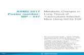 Metabolic changes in lung tissue of tuberculosis-infected mice … · 2017. 6. 1. · ASMS 2017 Poster number: MP –447 Page 1 Metabolic Changes in Lung Tissue of Tuberculosis-Infected