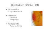 Clostridium difficile - CD · 2014. 10. 28. · Clostridium difficile infection. Emerg Infect Dis. 2011. CD og mortalitet i Danmark 2008-2009 Kaplan Meier curves showing the probability