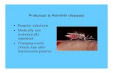 Parasitic infections • Medically and economically important • …wou.edu/~guralnl/gural/318protozoa.pdf · 2008. 3. 11. · Plasmodium species - non-motile protozoa Pathogenesis
