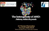Theheterogeneity of MND - MND Australia - MND Australia home · 2018. 11. 26. · LMN UMN Contributors to disease heterogeneity: 1. Clinical variability→motor phenotypes. 4) Primary