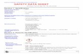 SAFETY DATA SHEET - Kicks Digital Marketing · 2020. 11. 3. · Other means of identification Product type Emergency telephone number (with hours of operation) Section 1. Identification::::