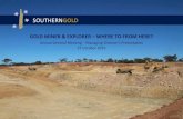 SOUTHERNGOLD · Level 1, 8 Beulah Road Norwood, SA 5065 PO Box 255 Kent Town SA 5071 SOUTHERNGOLD Southern Gold Limited: Company Profile Southern Gold Ltd is a successful gold explorer