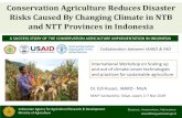 Conservation Agriculture Reduces Disaster Risks Caused By ......Conservation Agriculture Reduces Disaster Risks Caused By Changing Climate in NTB and NTT Provinces in Indonesia 12/3/2019
