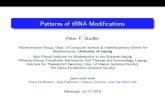 Patterns of tRNA Modificationsbenasque.org/2018rna/talks_contr/1710_Stadler-Benasque...Patterns of tRNA Modi cations Peter F. Stadler Bioinformatics Group, Dept. of Computer Science