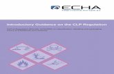 Introductory Guidance on the CLP Regulation Guidance on the... · 2009. 9. 8. · mixtures (CLP Regulation or simply “CLP”) which entered into force on 20 January 2009 in the
