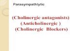 (Cholinergic antagonists) (Anticholinergic ) (Cholinergic ...cden.tu.edu.iq/images/New/2016/Lectures/Dr.Ghadeer/3-2017/3.pdfB- anti nicotinic agent "Nicotinic Antagonists: Agents that