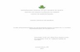 Biblioteca Digital de Monografias - UNIVERSIDADE ......Distribuidora de Alimentos / Danilo Araújo de Macêdo. - 2017. 66 f.: il. color. Monografia (graduação) - Universidade Federal