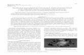 Epithelial-myoepithelial Carcinoma of the Parotid Gland with … · 2015. 7. 7. · Hiroshima J. Med. Sci. Vol. 50, No. 4, 101-104, December, 2001 HIJM50-16 Epithelial-myoepithelial