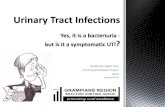 Residential Aged Care UTI Clinical Pathway Project 2014...UTI Clinical Pathway Project 2014 (Updated 2019) Asymptomatic bacteriuria Presence of white blood cells; possibly smelly,