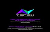 topex - Find Companies · 2018. 8. 27. · INITIAL-COIN-OFFERING (ICO) The initial coin (tokens) offering, ICO, is a form of attracting investments into new techno-logical projects